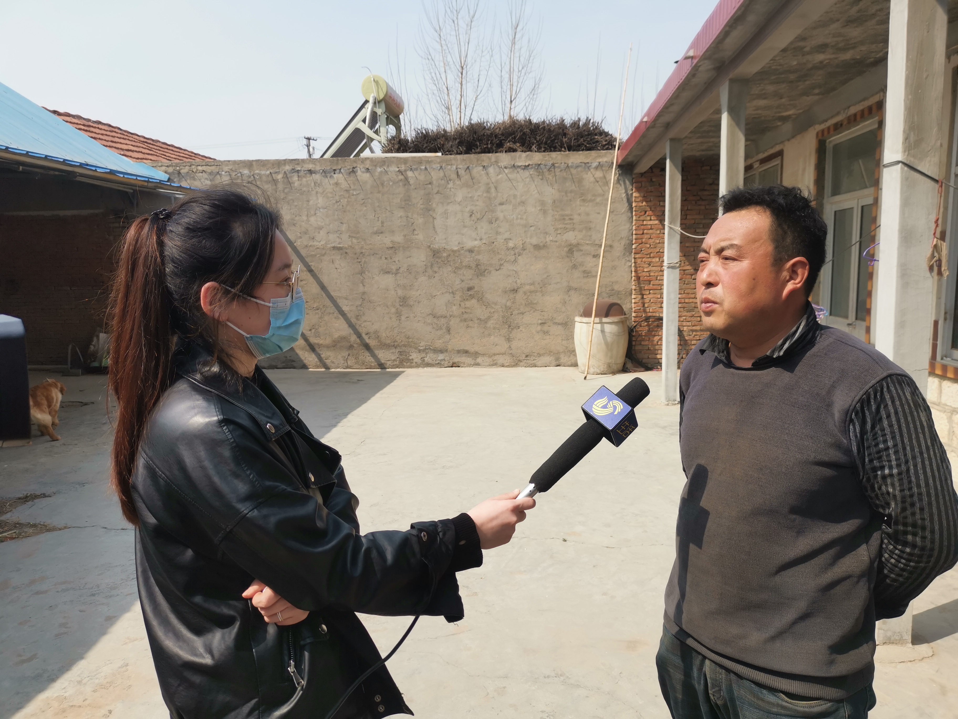 第209所 平度市崔家集镇状元府星空在线手机版(大中国区)刘丽新小学 第209所 平度市崔家集镇状元府星空在线手机版(大中国区)刘丽新小学