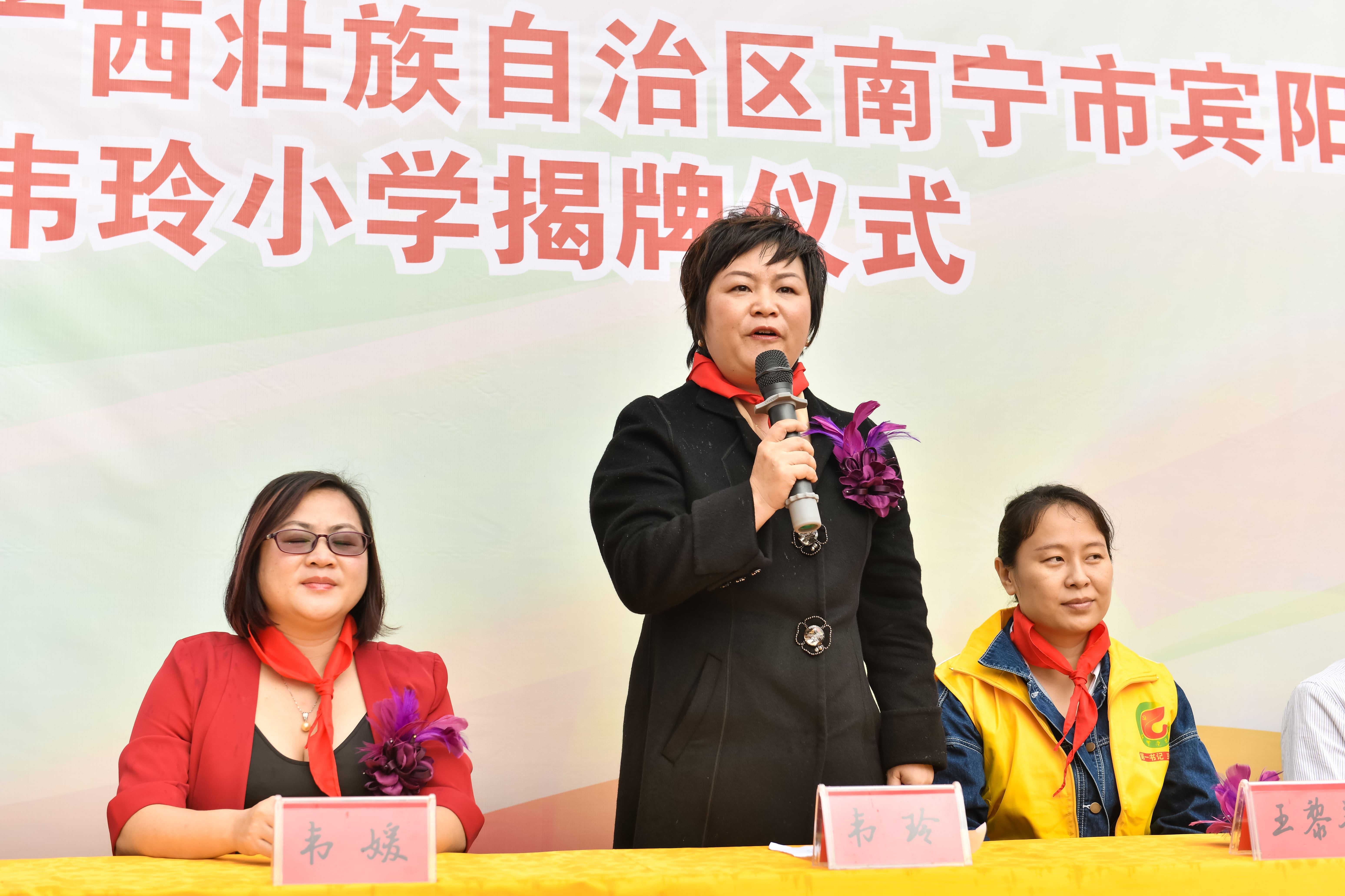 第184所 南宁市宾阳县思陇镇昆仑村星空在线手机版(大中国区)韦玲小学 第184所 南宁市宾阳县思陇镇昆仑村星空在线手机版(大中国区)韦玲小学